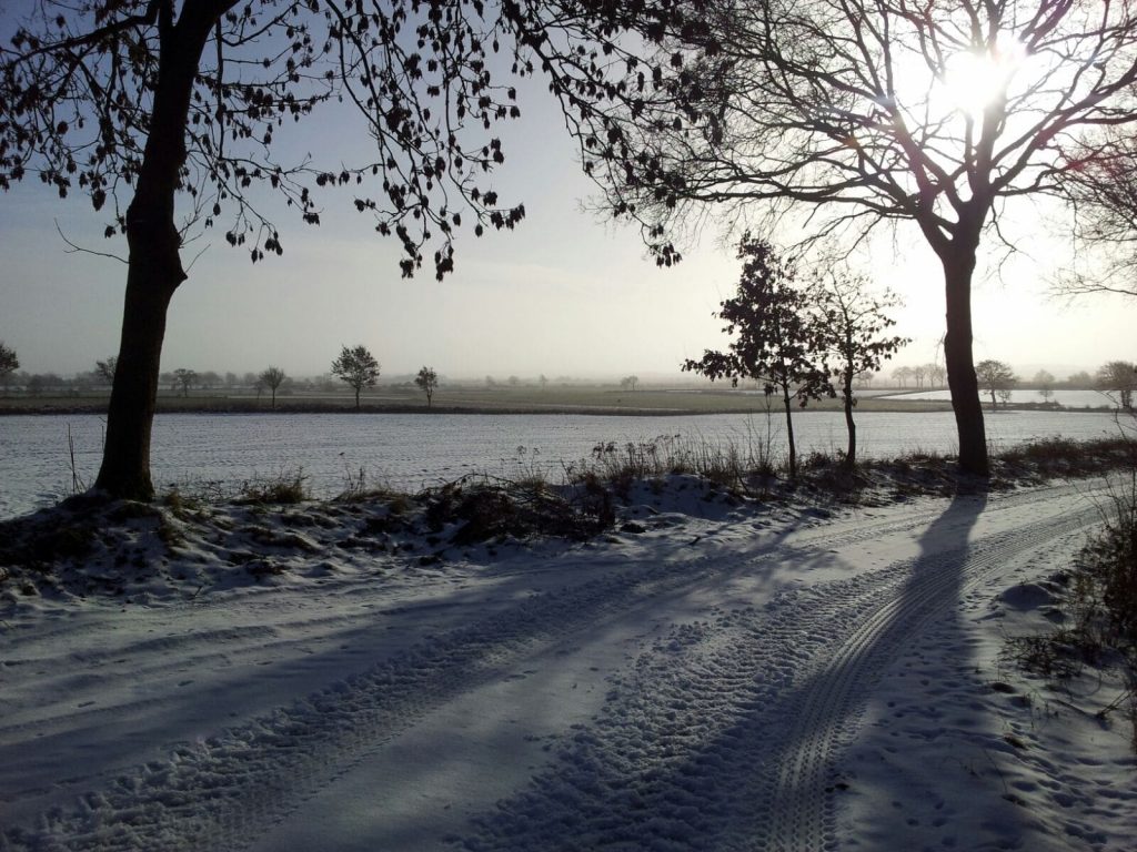 Wolmersdorf im Winter Feldmark